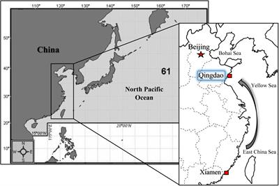 Thermotolerance Divergence Revealed by the Physiological and Molecular Responses in Two Oyster Subspecies of Crassostrea gigas in China